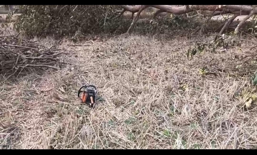 Image after paragraph