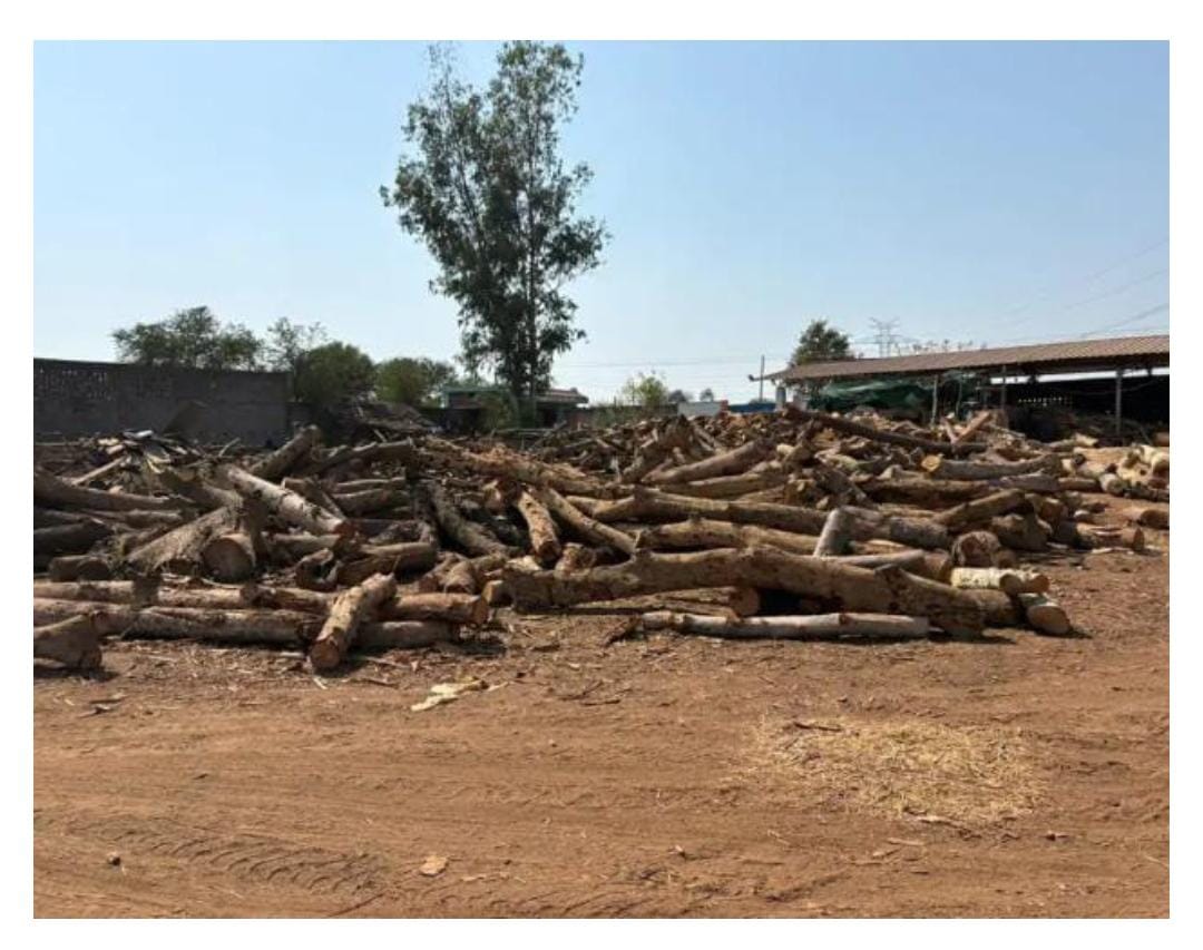 बालोद: अवैध लकड़ी कारोबार पर वन विभाग का बड़ा प्रहार; दो आरा मिलें सील, डीएफओ की चेतावनी– 